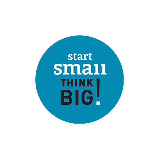 Start Small Think Big