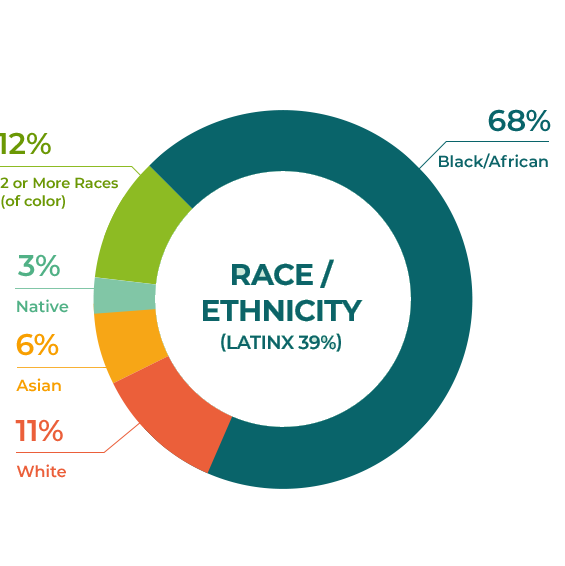 Race / Ethnicity Graph